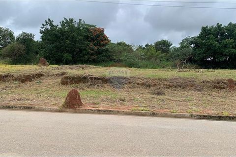Foto Terreno
