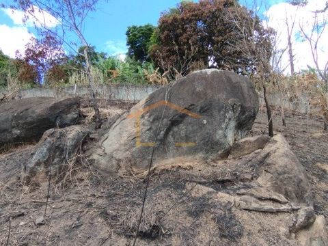 Foto Terreno