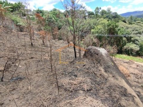 Foto Terreno