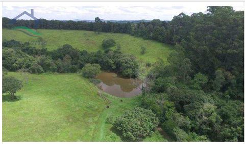 Foto Fazenda / Sítio / Chácara