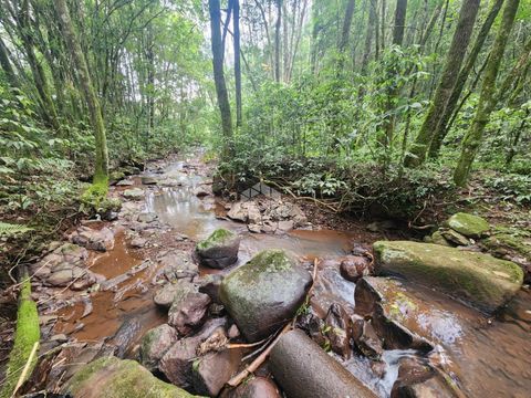 Foto Fazenda / Sítio / Chácara