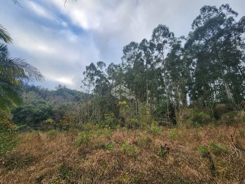 Foto Fazenda / Sítio / Chácara