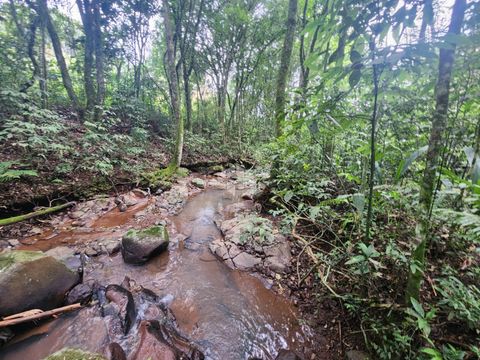 Foto Fazenda / Sítio / Chácara