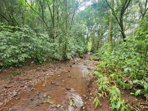 Foto Fazenda / Sítio / Chácara