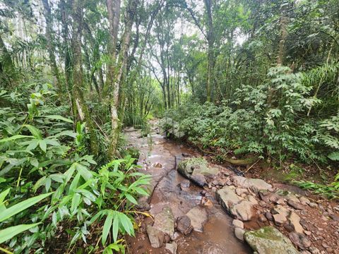 Foto Fazenda / Sítio / Chácara