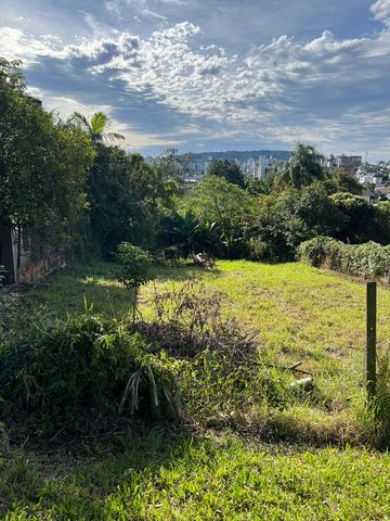 Foto Terreno