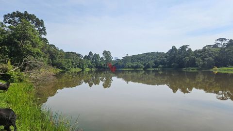 Foto Fazenda / Sítio / Chácara