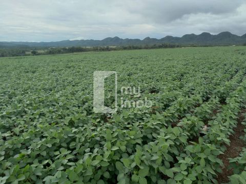 Foto Fazenda / Sítio / Chácara