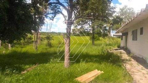 Foto Terreno