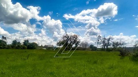 Foto Terreno