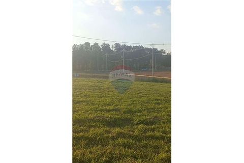 Foto Terreno