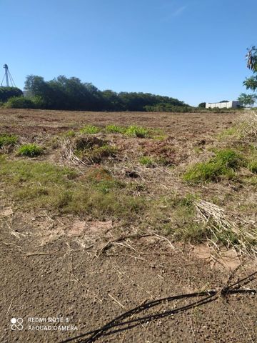 Foto Terreno