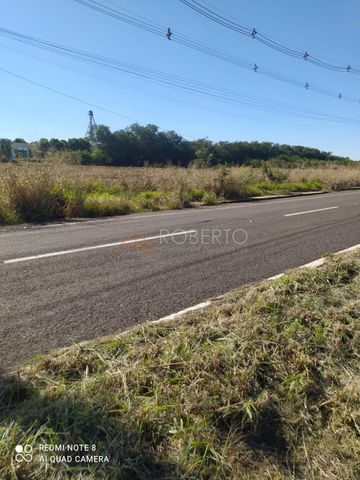 Foto Terreno