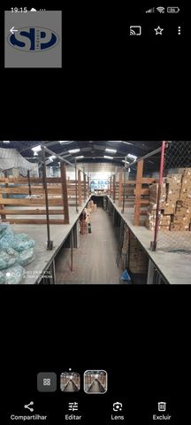 Foto Galpão / Depósito / Armazém / Pavilhão