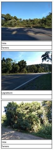 Foto Terreno
