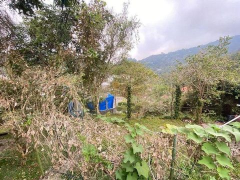 Foto Terreno
