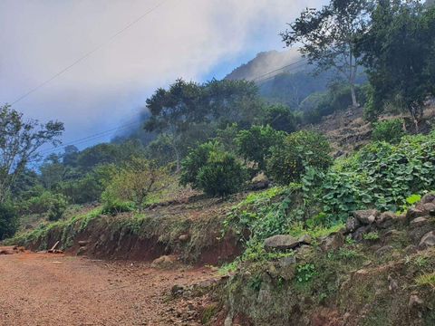 Foto Terreno