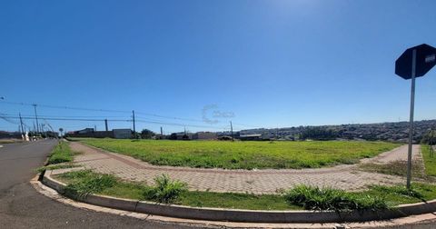 Foto Terreno