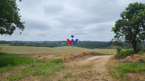 Foto Fazenda / Sítio / Chácara
