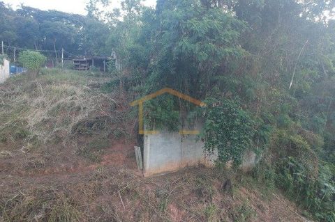 Foto Terreno