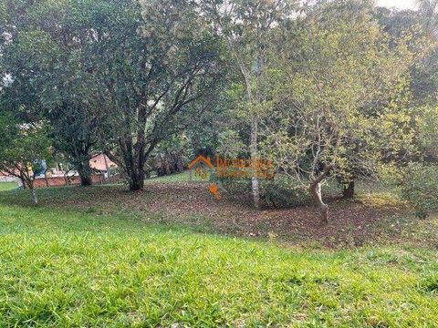Foto Fazenda / Sítio / Chácara