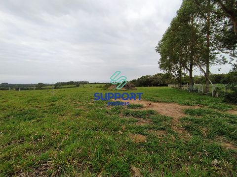 Foto Sala / Conjunto Comercial
