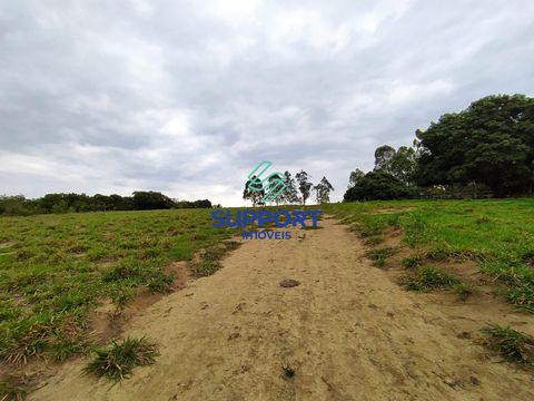 Foto Sala / Conjunto Comercial