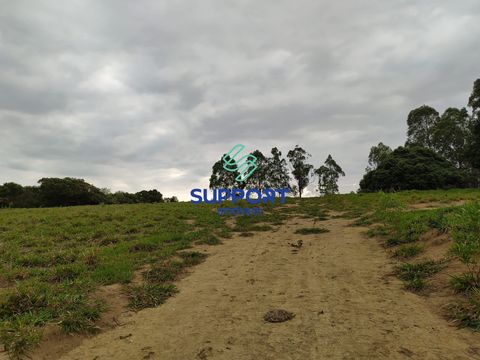 Foto Sala / Conjunto Comercial