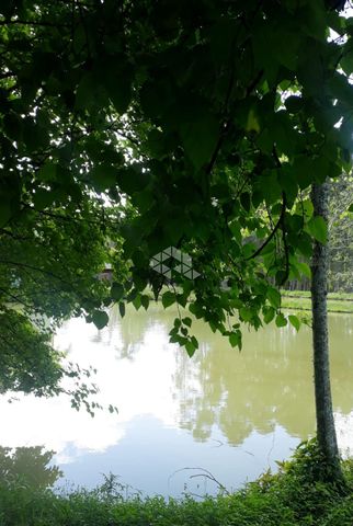 Foto Fazenda / Sítio / Chácara