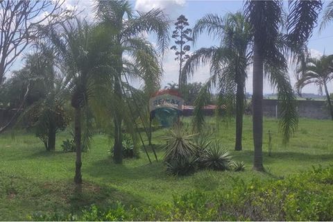 Foto Terreno