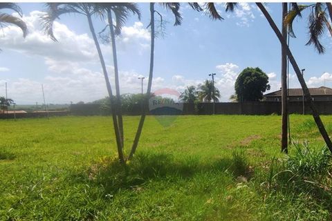 Foto Terreno