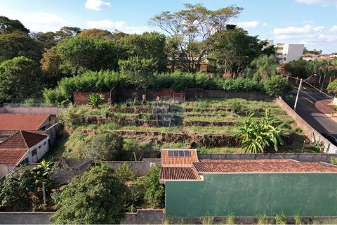 Foto Terreno
