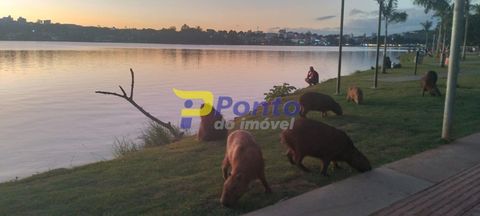 Foto Terreno