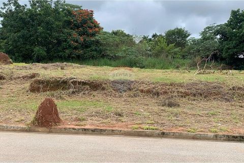 Foto Terreno