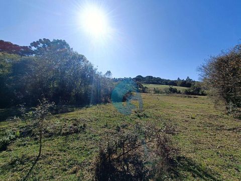 Foto Fazenda / Sítio / Chácara