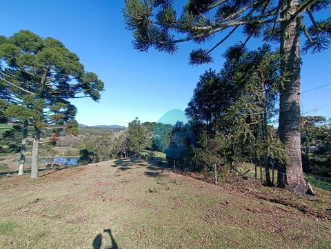Foto Fazenda / Sítio / Chácara