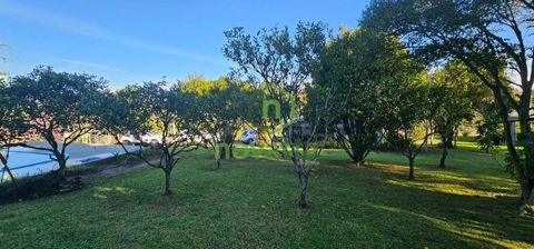 Foto Fazenda / Sítio / Chácara