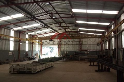 Foto Galpão / Depósito / Armazém / Pavilhão