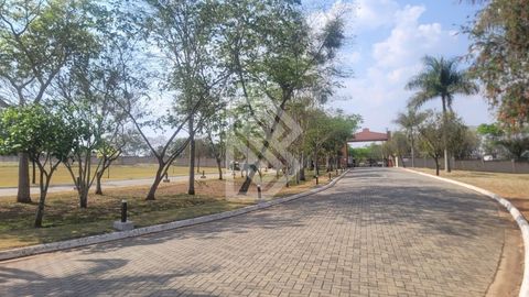 Foto Terreno