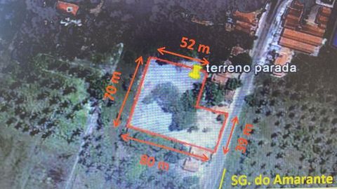 Foto Terreno