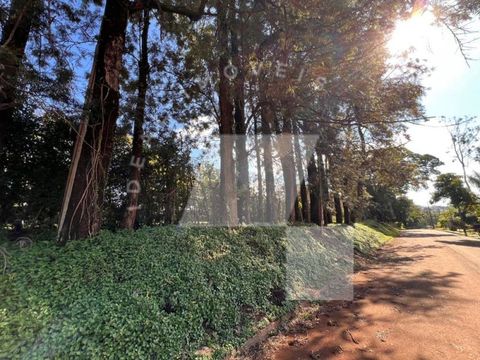 Foto Terreno