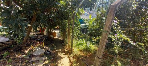 Foto Terreno