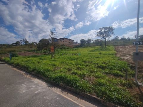 Foto Terreno