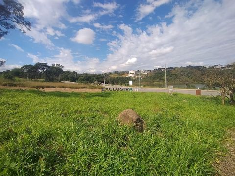 Foto Terreno