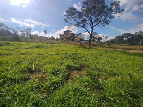 Foto Terreno