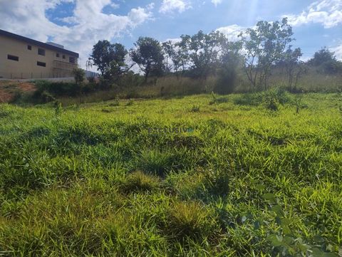 Foto Terreno