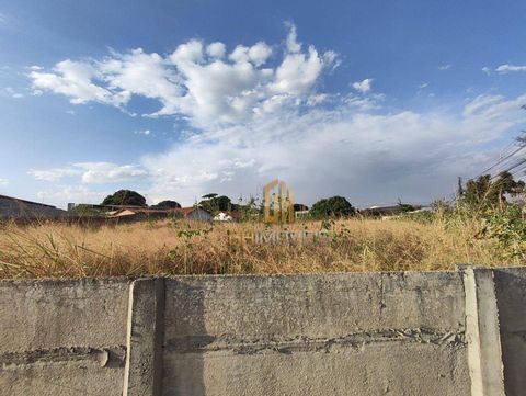 Foto Terreno