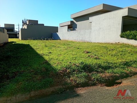 Foto Terreno