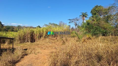 Foto Fazenda / Sítio / Chácara