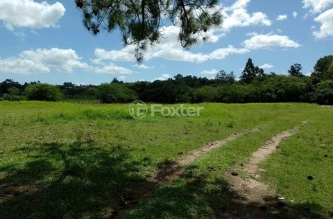 Foto Fazenda / Sítio / Chácara